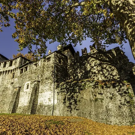 Palm By Interhome Locarno