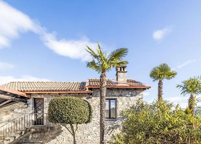 Palm By Interhome Locarno