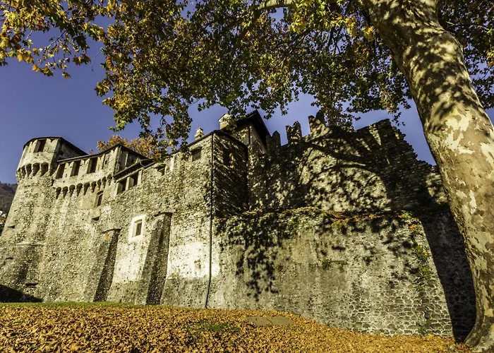 Palm By Interhome Locarno